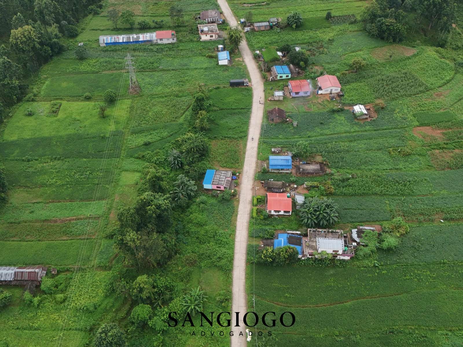 Usucapião Rural: Como Regularizar Terra Sem Escritura Mesmo com Registro em Nome de Terceiros